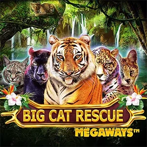 เกมสล็อต Big Cat Rescue