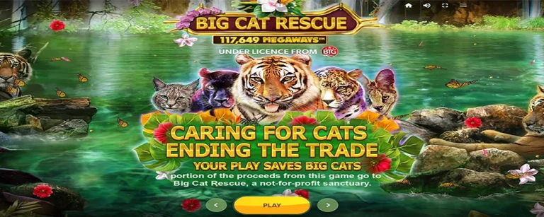 เกมสล็อต Big Cat Rescue